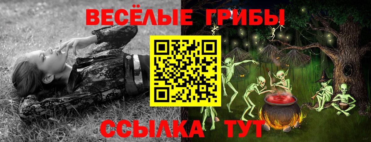 Галлюциногенные грибы GOLDEN TEACHER Сухой Лог